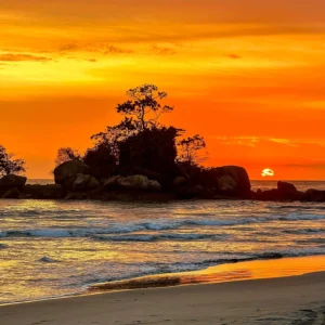 Mulheres Experience III - Castelhanos